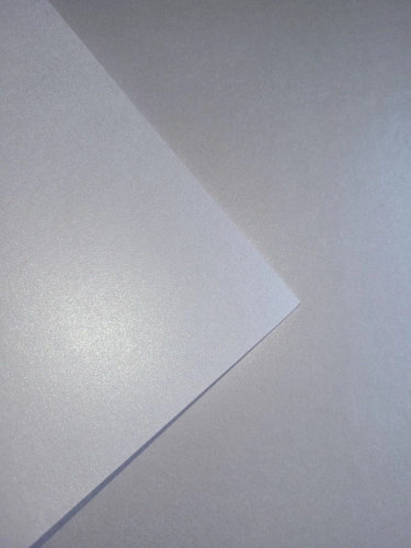 20260505_115009.jpg