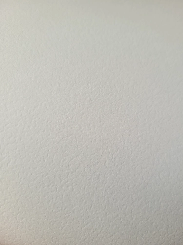 canva.png