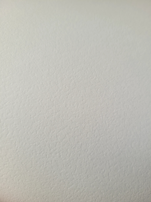 canva.png