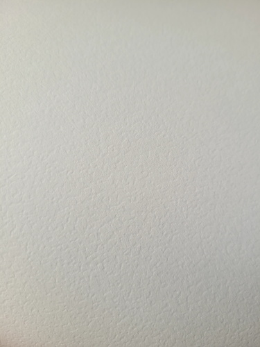 canva.png