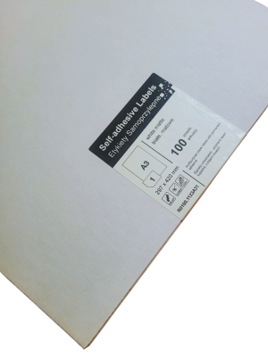 R0100A3.png